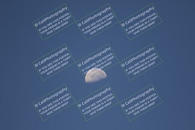 media/Oct-12-2025-Lucky Dog Racing (Sun) [[8adb5568ea]]/5-Pre Grid-Driver Change-Refueling/